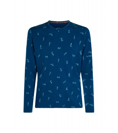 Блуза Icebreaker M's 200 Oasis LS Crewe Ski Day