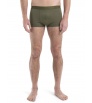 Мерино Бельо Icebreaker Anatomica Cool-Lite Trunks M's Summer 2024
