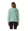 Яке Patagonia Women's Micro D Fleece Hoody