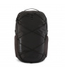 Раница Patagonia Refugio Daypack 30L Summer 2024
