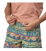 Шорти Patagonia Baggies 5