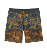 Шорти Patagonia Hydropeak Boardshorts 18