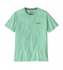 Тениска Patagonia Fitz Roy Icon Responsibilitee T-shirt Summer 2025